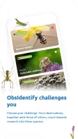 ObsIdentify