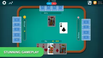 Euchre Classic Card Game