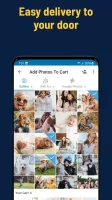 PicPrint