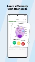 Studydrive: Study & Flashcards
