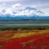 Nature Jigsaw Puzzles