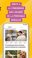 Genial.guru