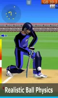 Smashing Cricket: cricket game