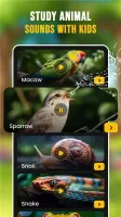 Animal Ringtones & Wallpapers