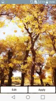 Falling Leaves Live Wallpaper
