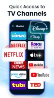 Universal TV Remote Control