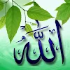 Asma Nc
