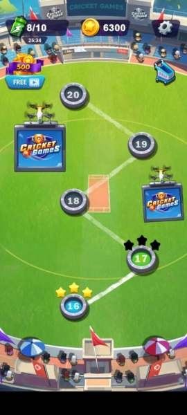 King Of Cricket Games