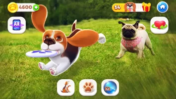 Tamadog - Puppy Pet Dog Games