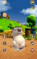 Talking Hedgehog
