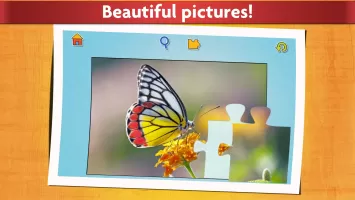 Insect Jigsaw Puzzle Game Kids