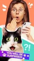 Cat Translator Pet Talk Meow