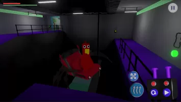 Spider Bird KinderGarten