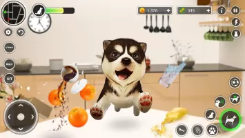 Dog Simulator Pet Dog Games 3D