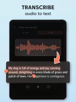 Sound Recorder Plus