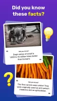 General Knowledge Quiz