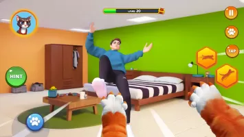 Pet Cat Naughty Prankster