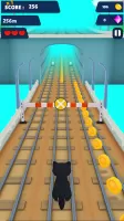 Cat Run 3D