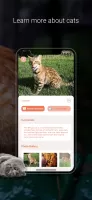 Cat Identifier - Cat Scanner