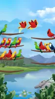 Bird Sort - Color Puzzle