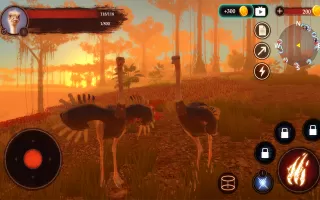 The Ostrich