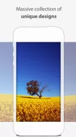 Wallpapers: phone and tablet