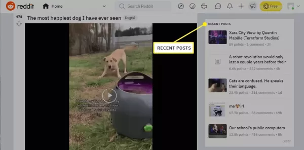 How to See Reddit Search History?