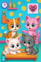 Cute Kitty Cat Pet Care