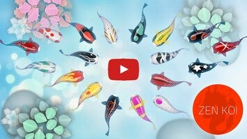 Zen Koi - Breed & Collect Fish