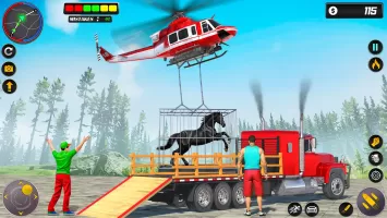 Animals Transport Truck Games