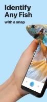Picture Fish