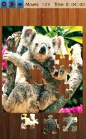 Jigsaw Puzzles