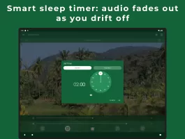 Relax Forest
