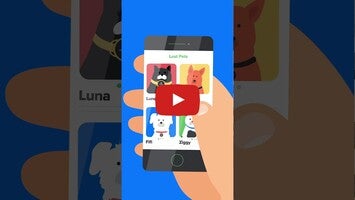 Pawscout video animation short