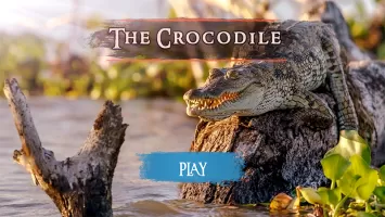 The Crocodile