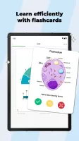 Studydrive: Study & Flashcards