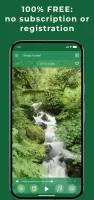 Relax Forest