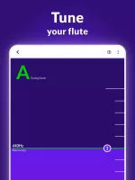 Flute Lessons - tonestro
