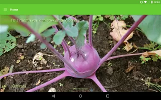 Gardroid - Vegetable Garden