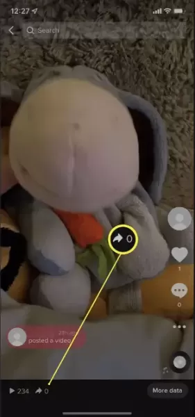 How to See Who shared Your TikTok Videos?