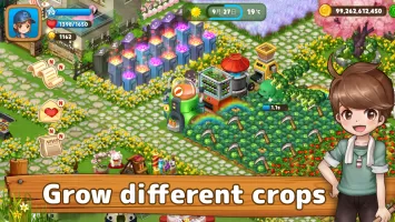 Real Farm