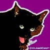 JarOCats