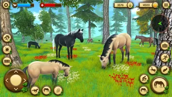 Wild Horse Games Survival Sim