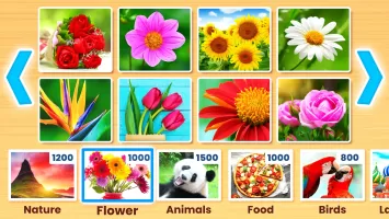 Jigsaw Puzzles: Picture Puzzle