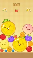 Merge Melon