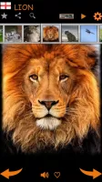 Real Animal Sounds