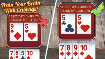 Ultimate Cribbage: Card Board