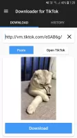 Downloader for TikTok