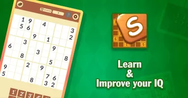 Sudoku Numbers Puzzle