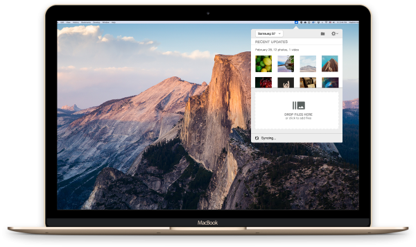 Piktures Gallery: Photo, Video